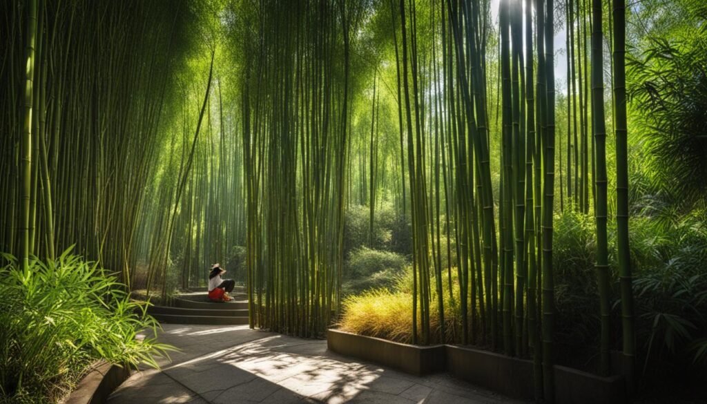 spiritual benefits of bamboo